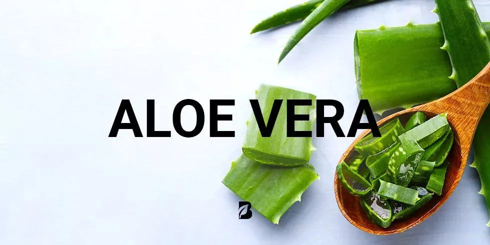 Aloe Vera: Beneficios Naturales para Tu Salud y Bienestar