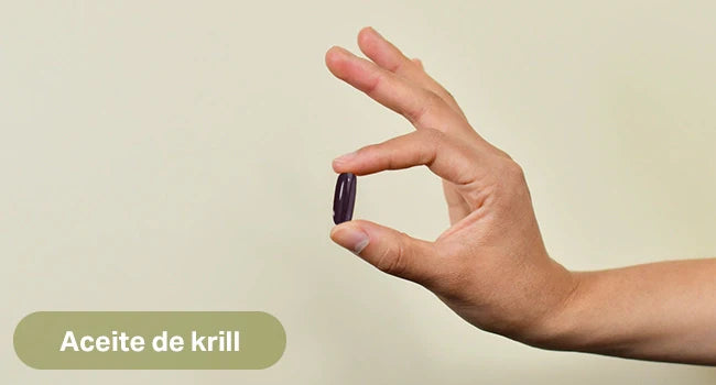 Beneficios de consumir aceite de krill