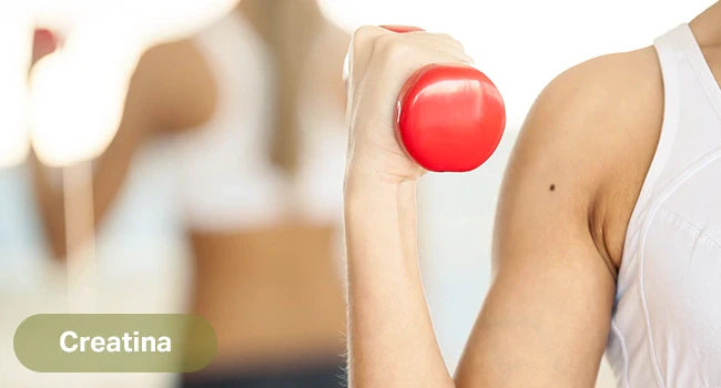 Creatina: el complemento para nuestros músculos