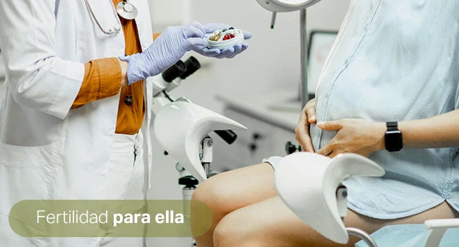 Construyendo el camino hacia la fertilidad