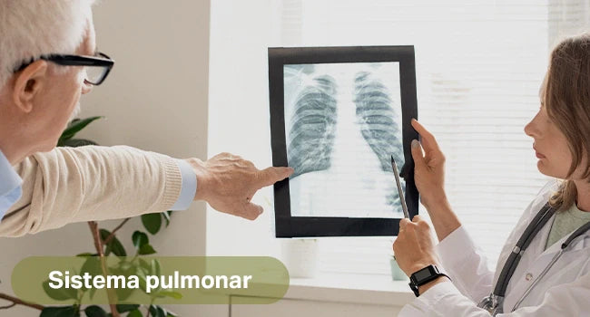 Cómo mantener sano el sistema respiratorio