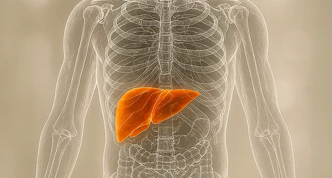 Glutathione: qué es y para qué sirve