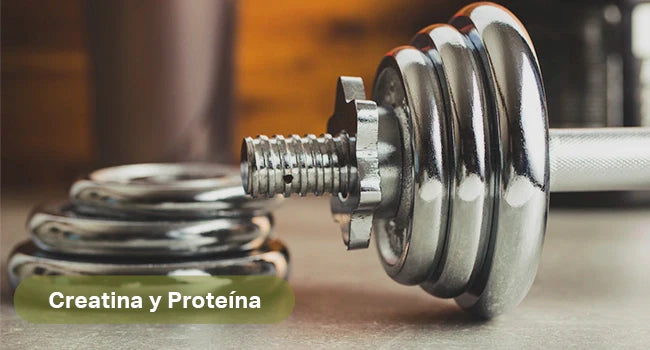 Ingredientes naturales con evidencia científica