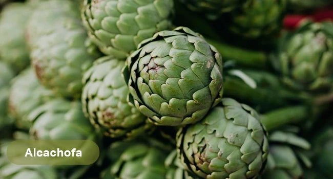La alcachofa: Un tesoro nutricional para la salud