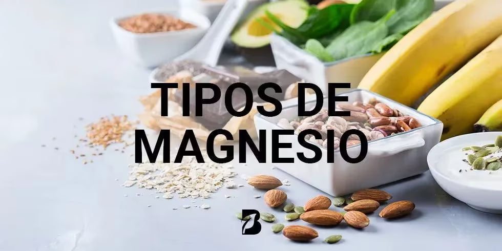 Diferencias y beneficios de los tipos de Magnesio