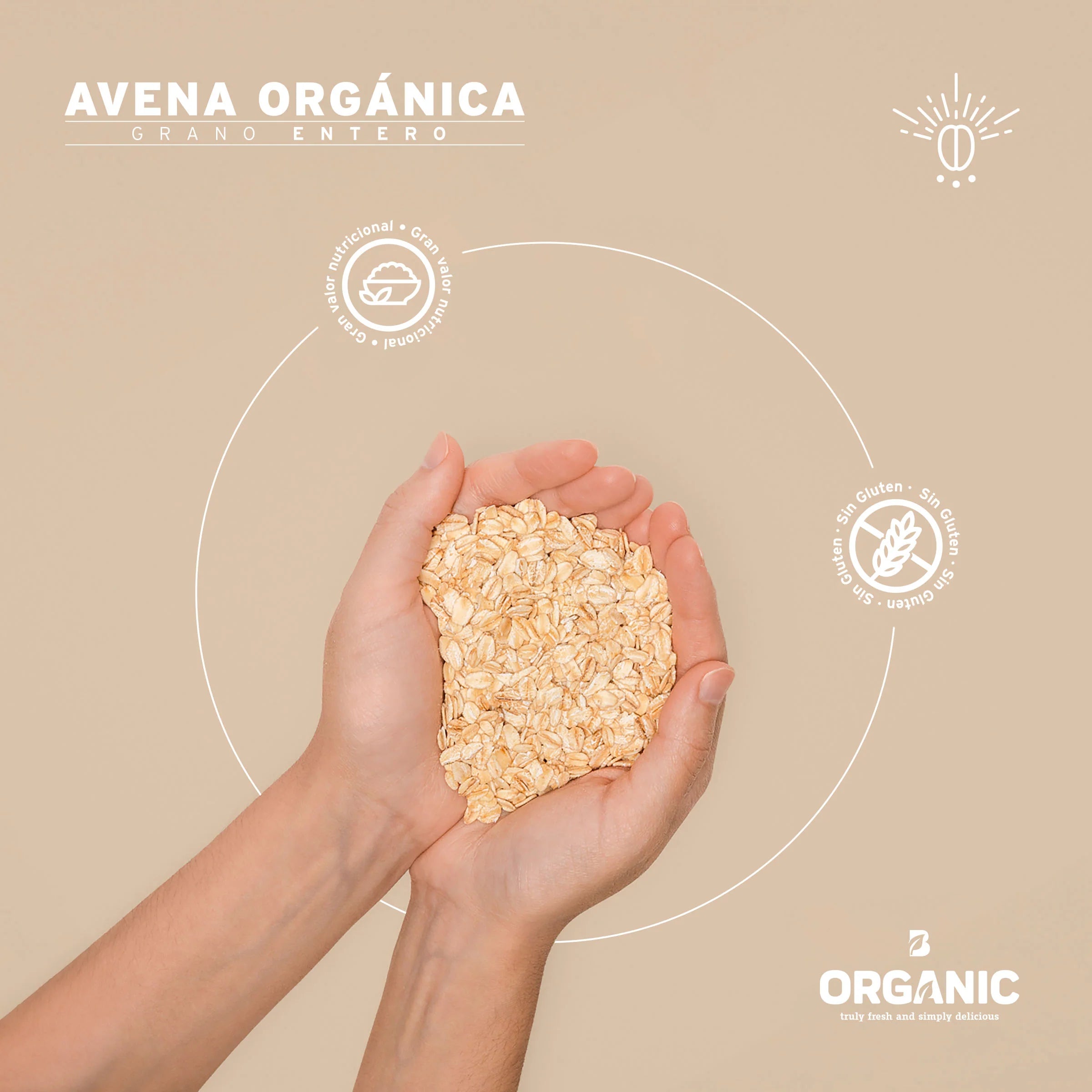 Avena Orgánica Sin Gluten | 2 Kg