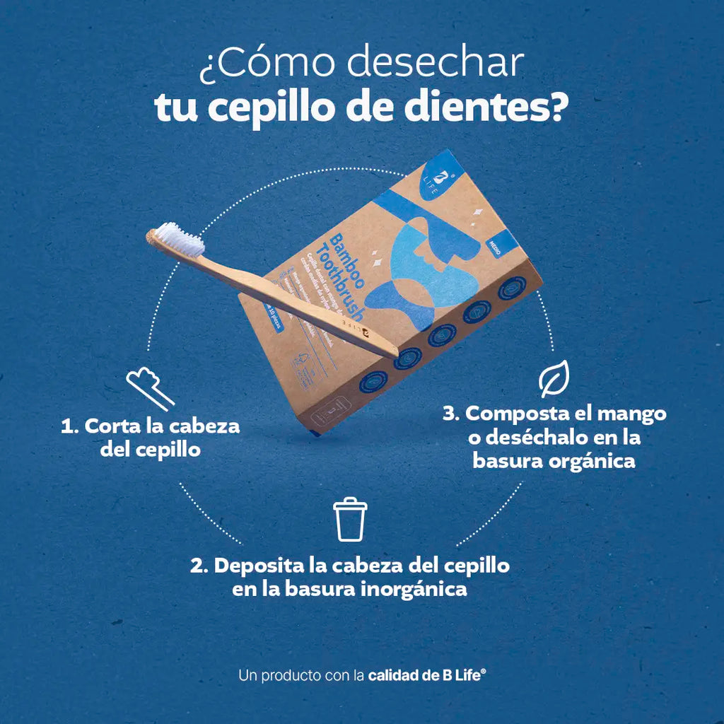 kits-de-cepillos-dentales-10-o-20-piezas