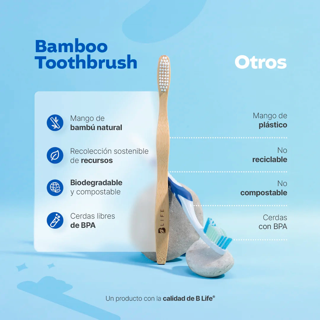 kits-de-cepillos-dentales-10-o-20-piezas
