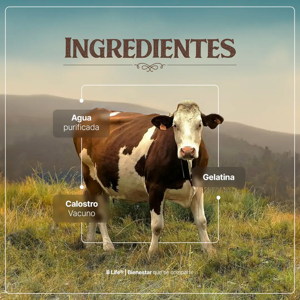 colostrum-suplemento-natural-calostro-puro-bovino-capsulas
