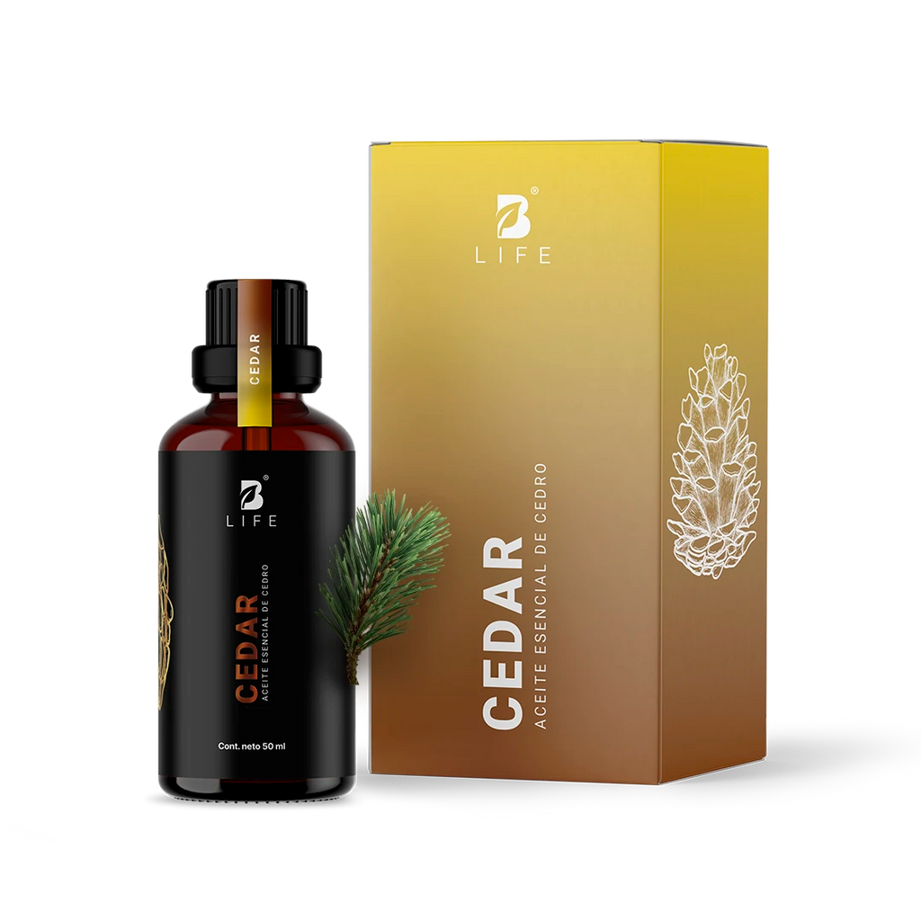 Essential Oil Cedar | Aceite Esencial Cedro 50 ml - 50 ml - B Life®