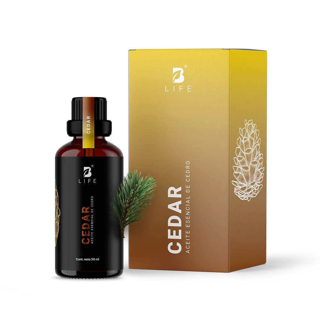 Essential Oil Cedar | Aceite Esencial Cedro 50 ml - 50 ml - B Life®