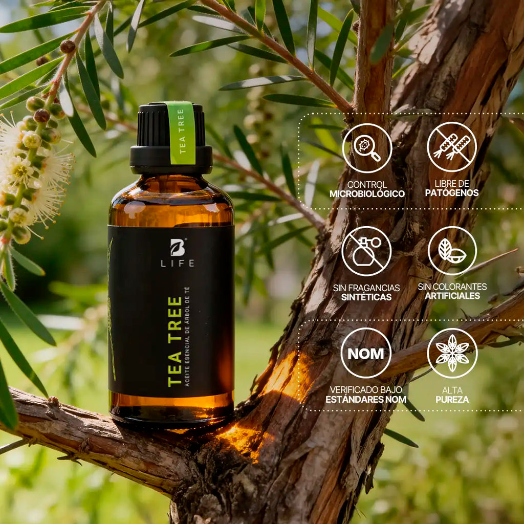 aceite-esencial-tea-tree