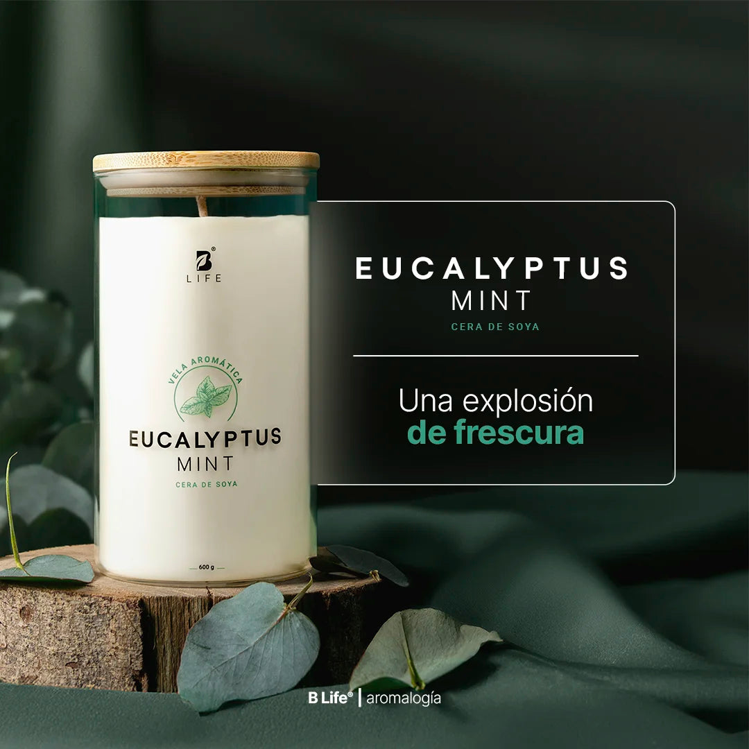 vela-aromatica-eucalipto-menta-600g-soja