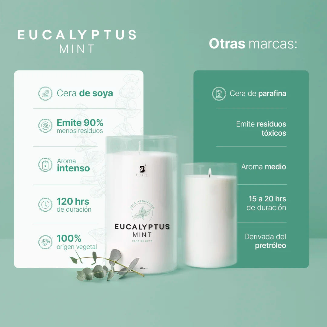 vela-aromatica-eucalipto-menta-600g-soja