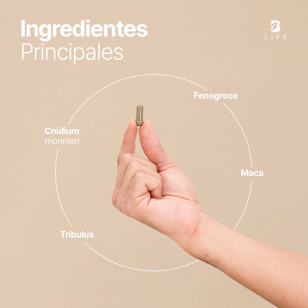 fire-blend-suplemento-energia-natural-capsulas