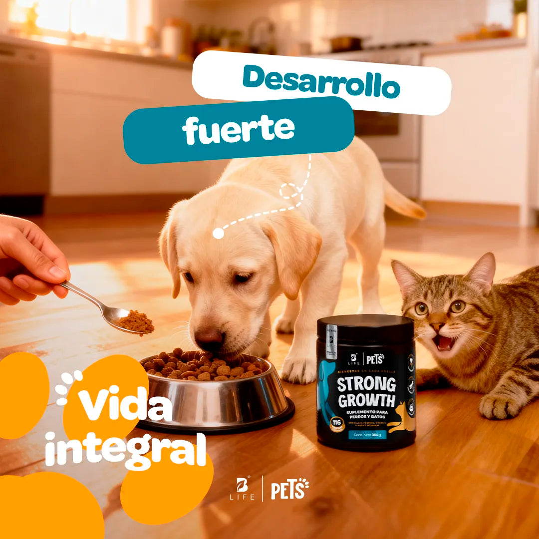 growth-strong-suplemento-mascotas-desarrollo-perros-gatos-en-polvo