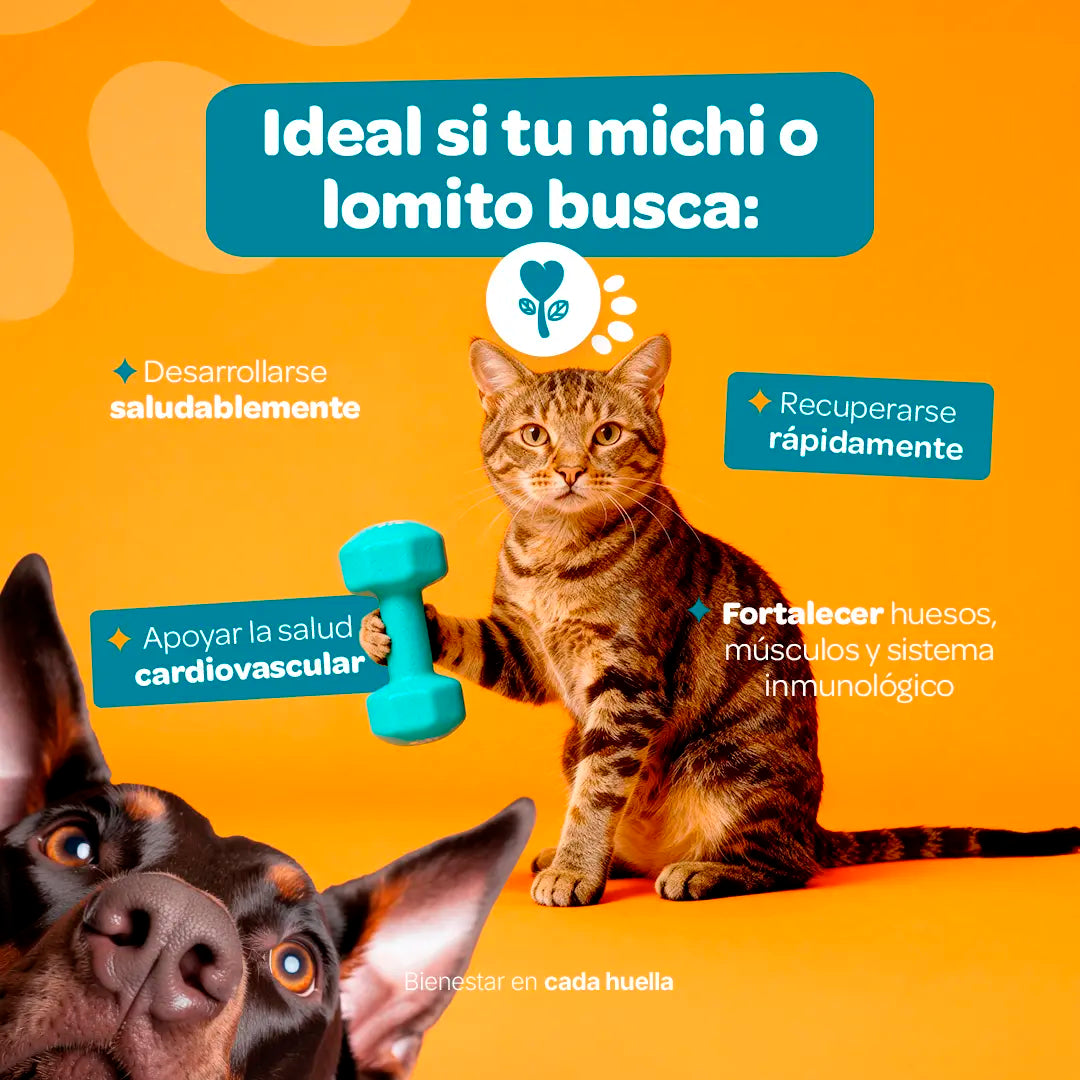 growth-strong-suplemento-mascotas-desarrollo-perros-gatos-en-polvo