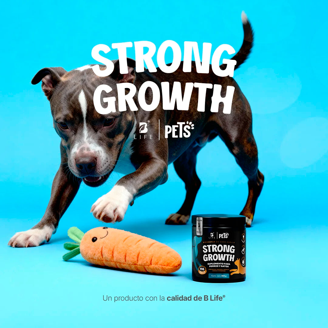 growth-strong-suplemento-mascotas-desarrollo-perros-gatos-en-polvo