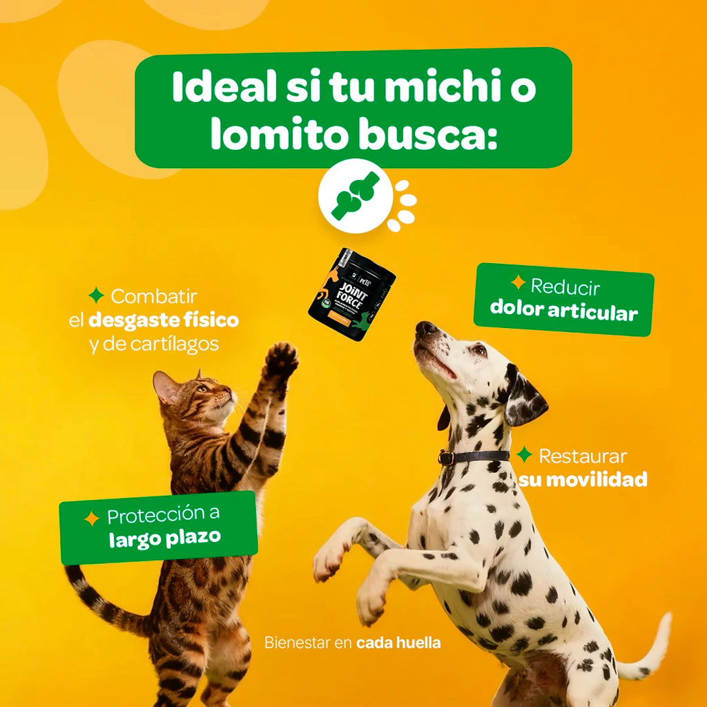joint-force-suplemento-mascotas-articular-perros-gatos-en-polvo