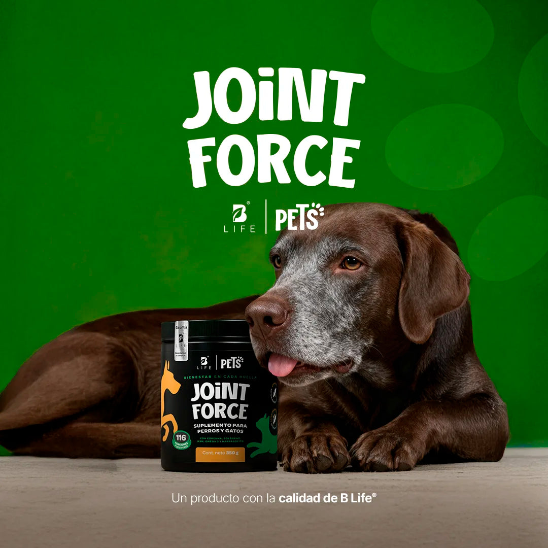 joint-force-suplemento-mascotas-articular-perros-gatos-en-polvo