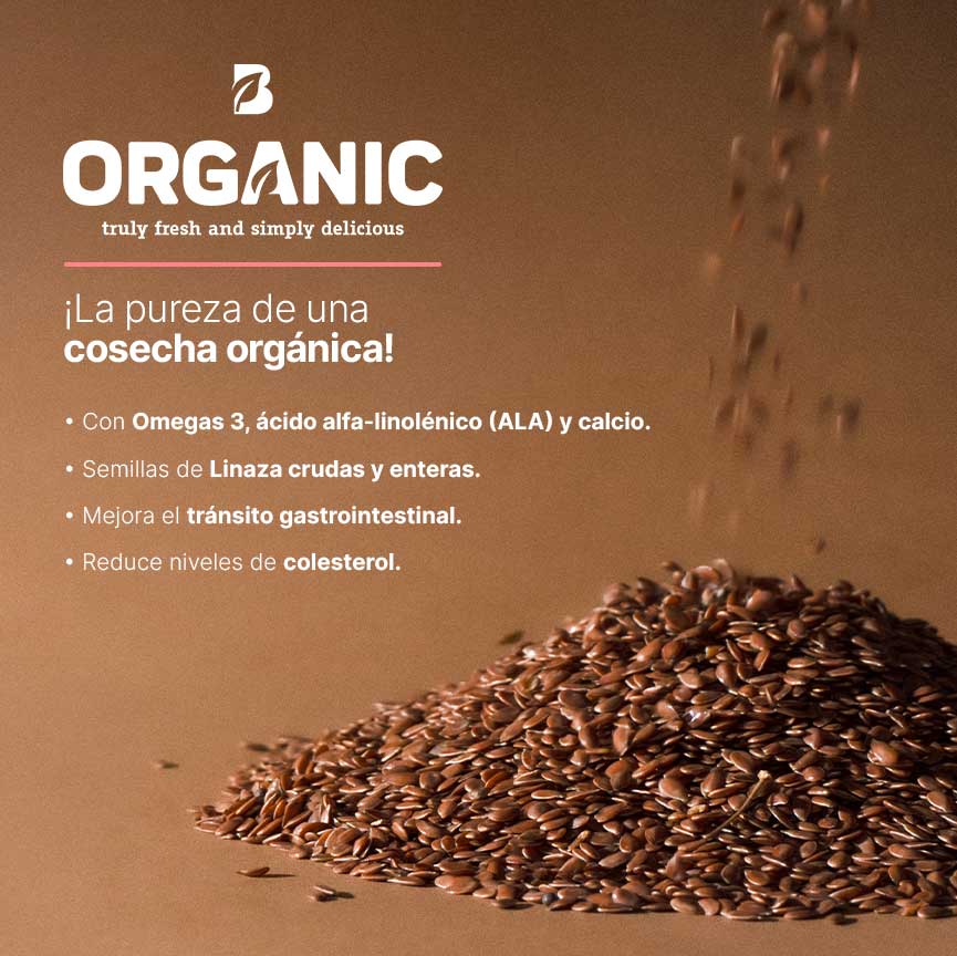 Linaza Orgánica | 1 kg