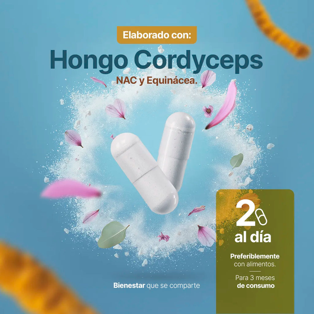 suplemento-natural-bronk-blend-cordyceps-nac-equinacea-vitamina-capsulas