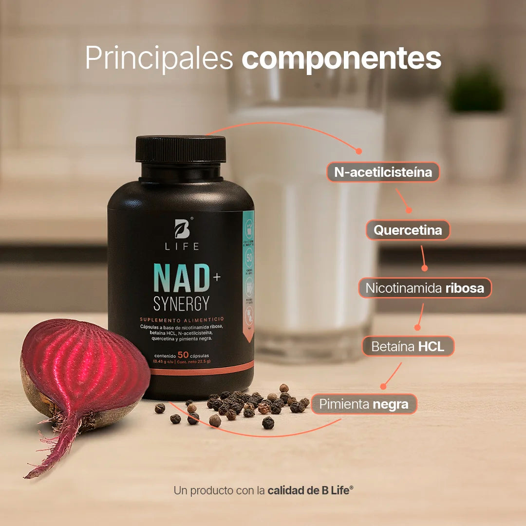nad-synergy