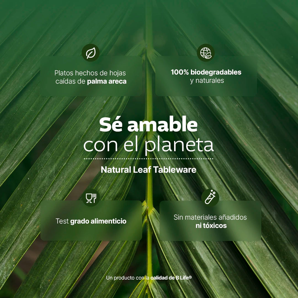 Desechables Hoja de Palma Biodegradable