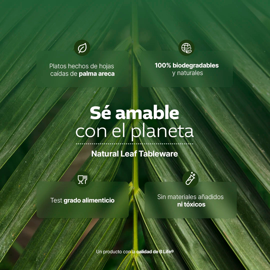 Desechables Hoja de Palma Biodegradable