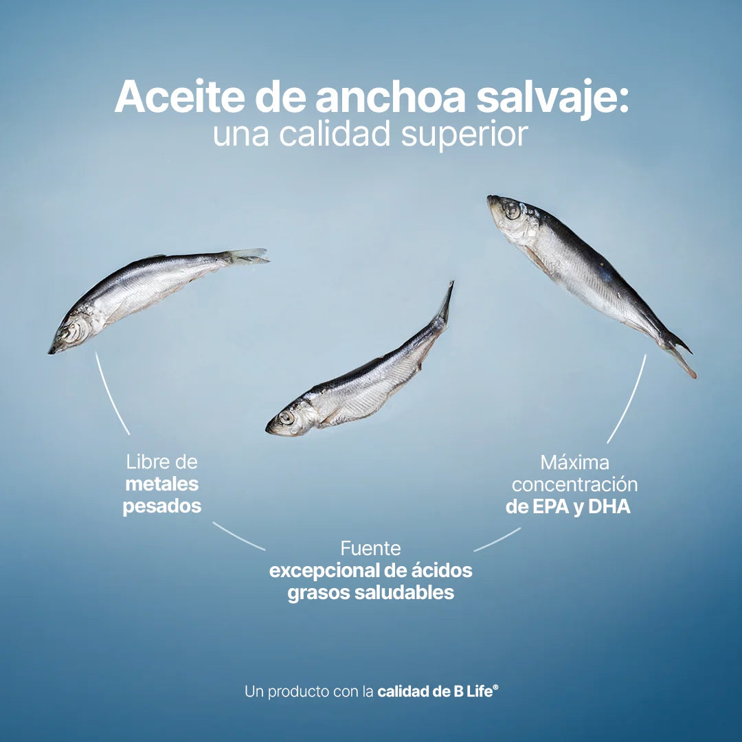 omega-3-platinum-suplemento-aceite-anchoa-salvaje-capsulas