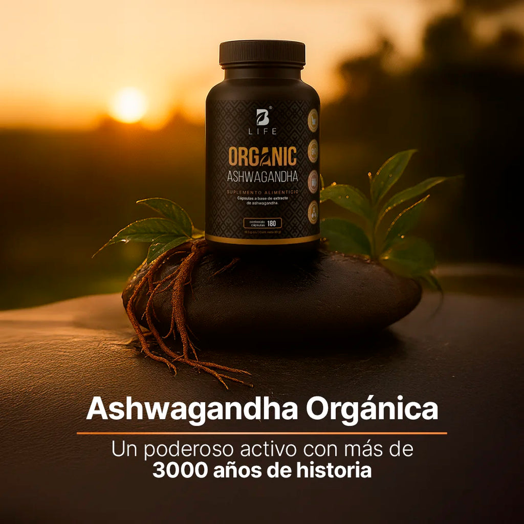 organic-ashwagandha-cpsulas-a-base-de-raz-de-ashwagandha-orgnica