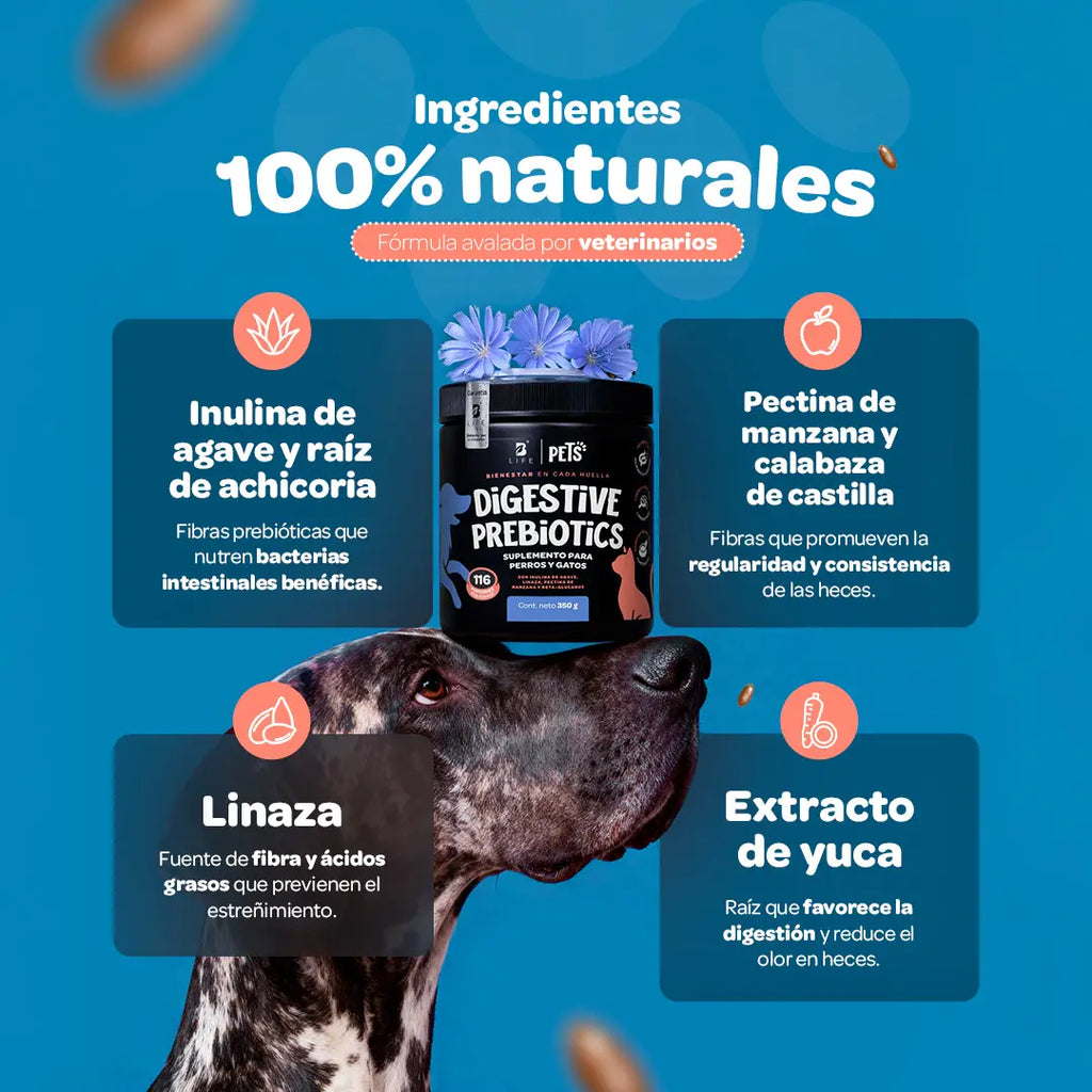 prebiotics-digestive-suplemento-mascotas-prebioticos-perros-gatos-en-polvo