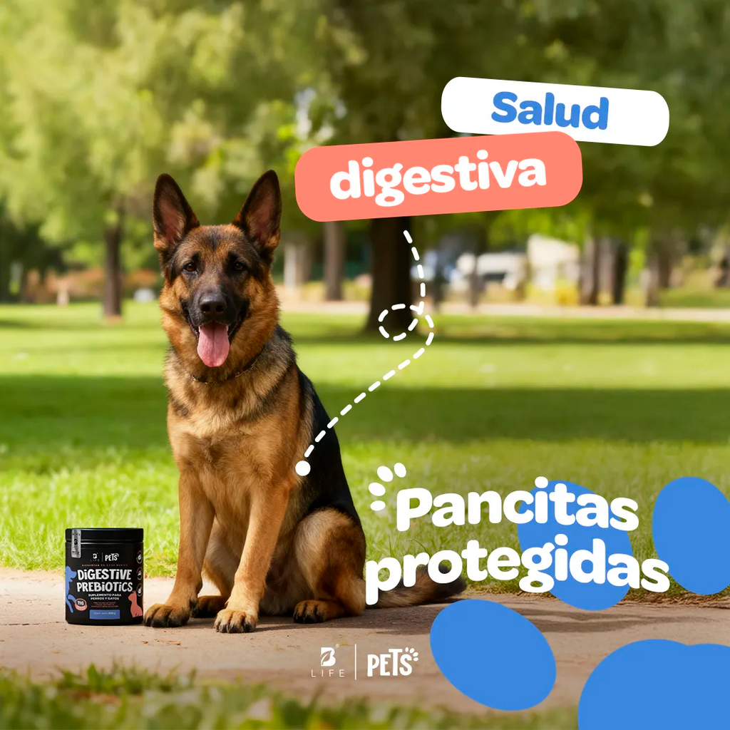 prebiotics-digestive-suplemento-mascotas-prebioticos-perros-gatos-en-polvo