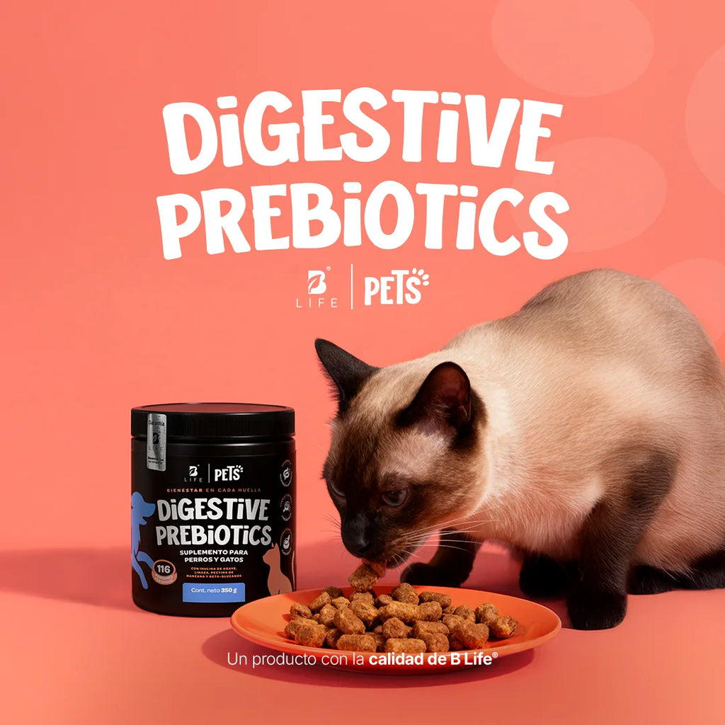 prebiotics-digestive-suplemento-mascotas-prebioticos-perros-gatos-en-polvo