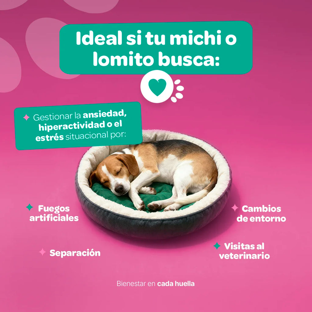 relax-calm-suplemento-mascotas-relajante-perros-gatos-en-polvo