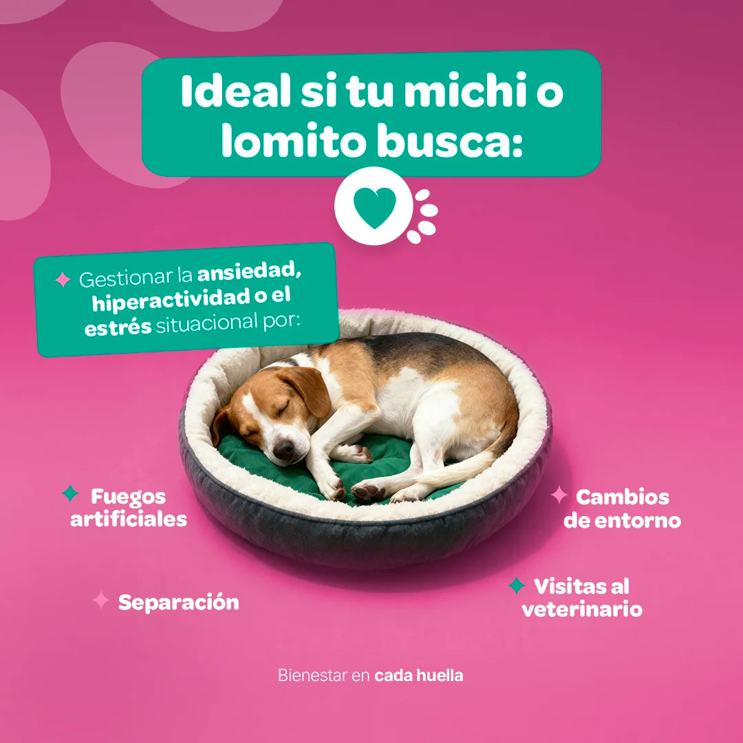 relax-calm-suplemento-mascotas-relajante-perros-gatos-en-polvo