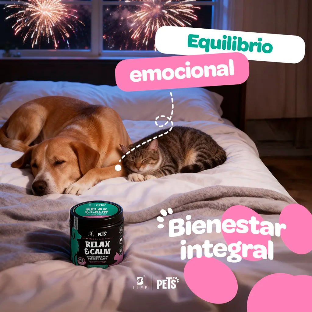 relax-calm-suplemento-mascotas-relajante-perros-gatos-en-polvo