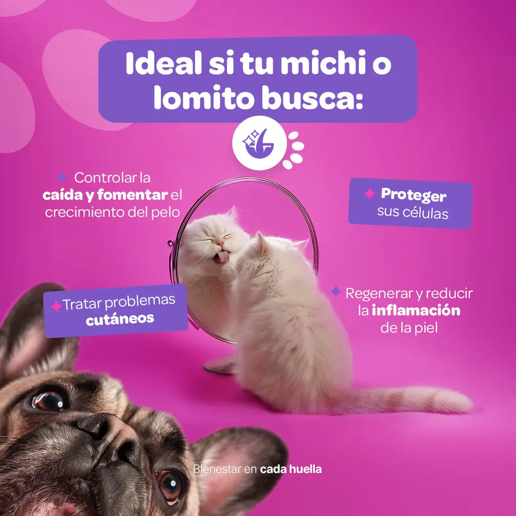 skin-support-suplemento-mascotas-piel-perros-gatos-en-polvo