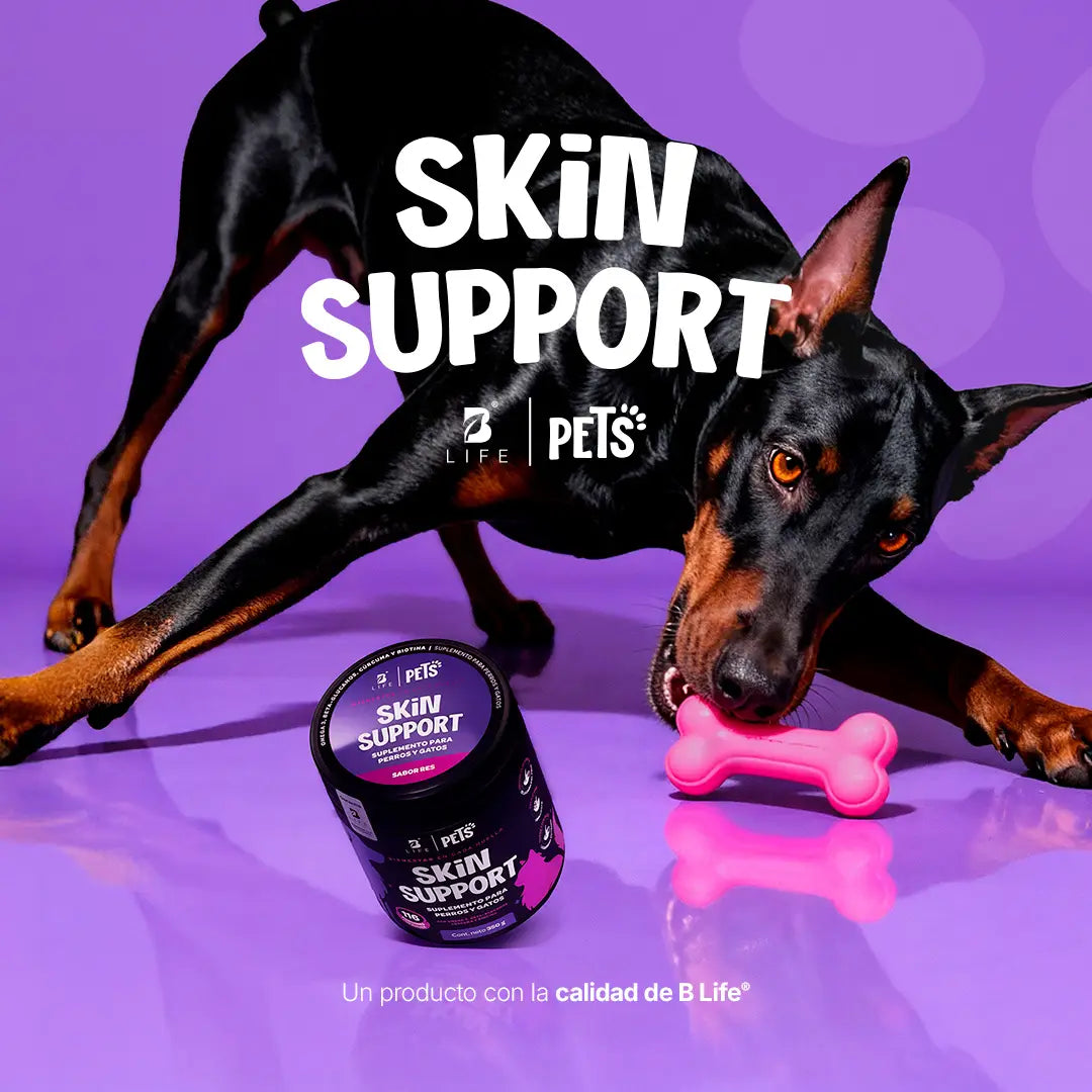skin-support-suplemento-mascotas-piel-perros-gatos-en-polvo