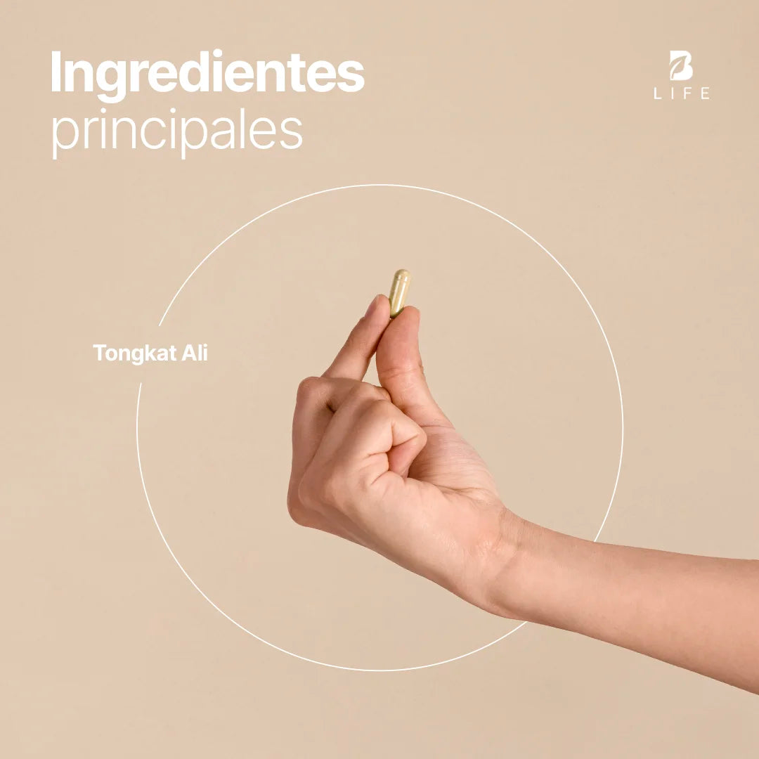 complemento-natural-tongkat-ali-raiz-capsulas