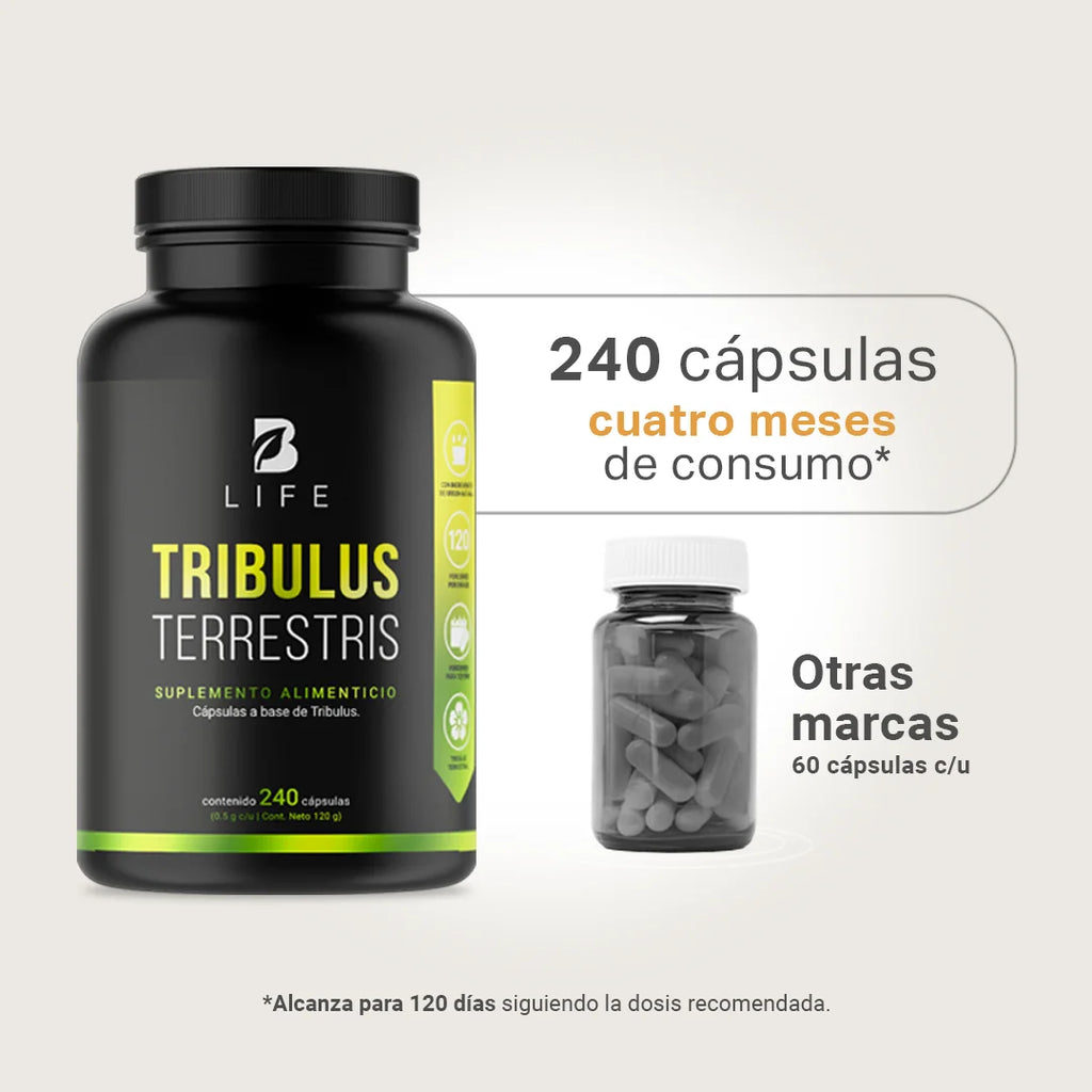 tribulus-terrestris-suplemento-natural-tribulus-capsulas