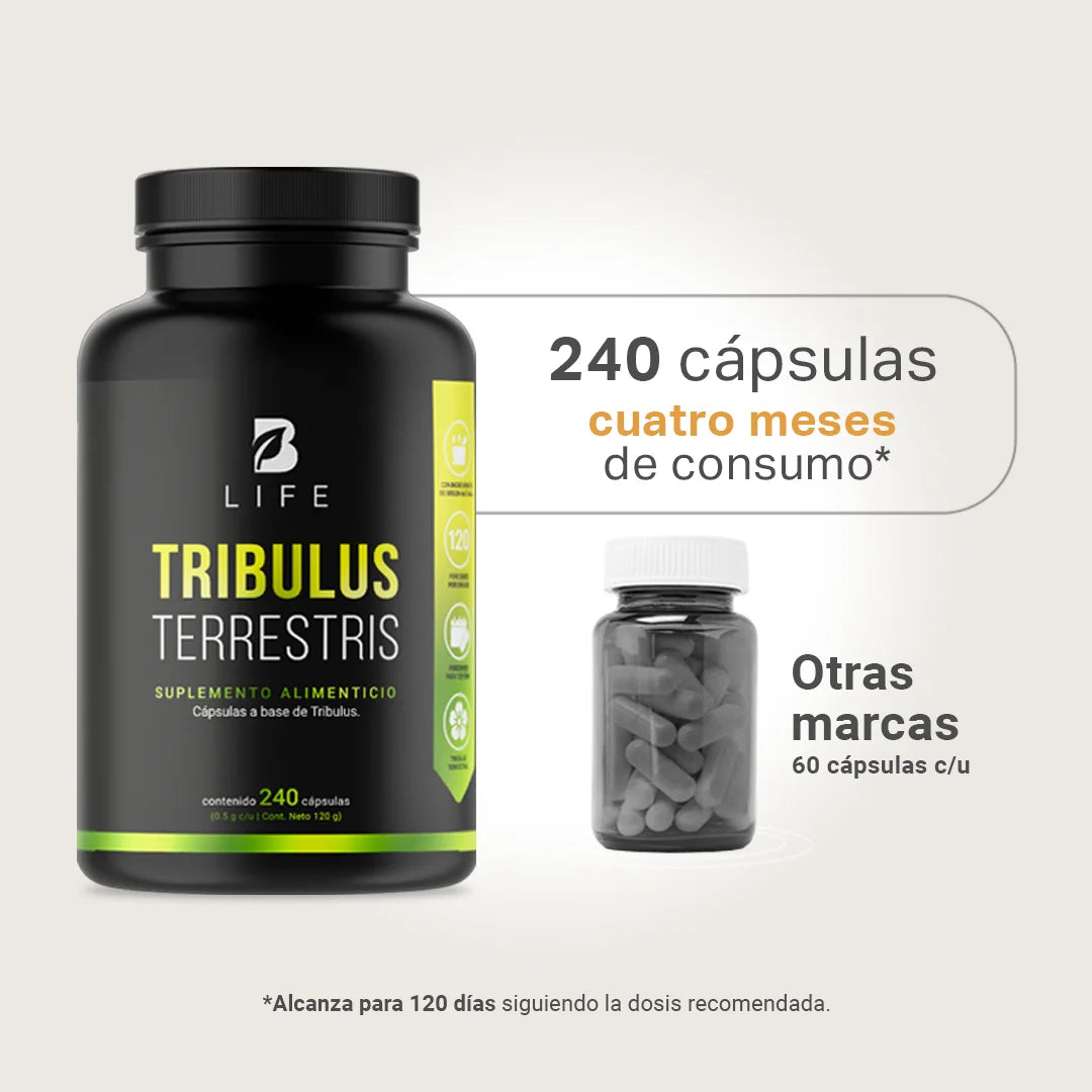 tribulus-terrestris-suplemento-natural-tribulus-capsulas
