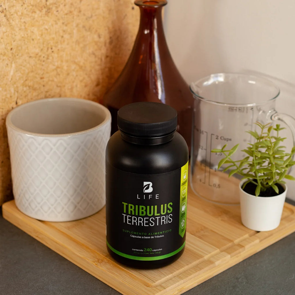 tribulus-terrestris-suplemento-natural-tribulus-capsulas