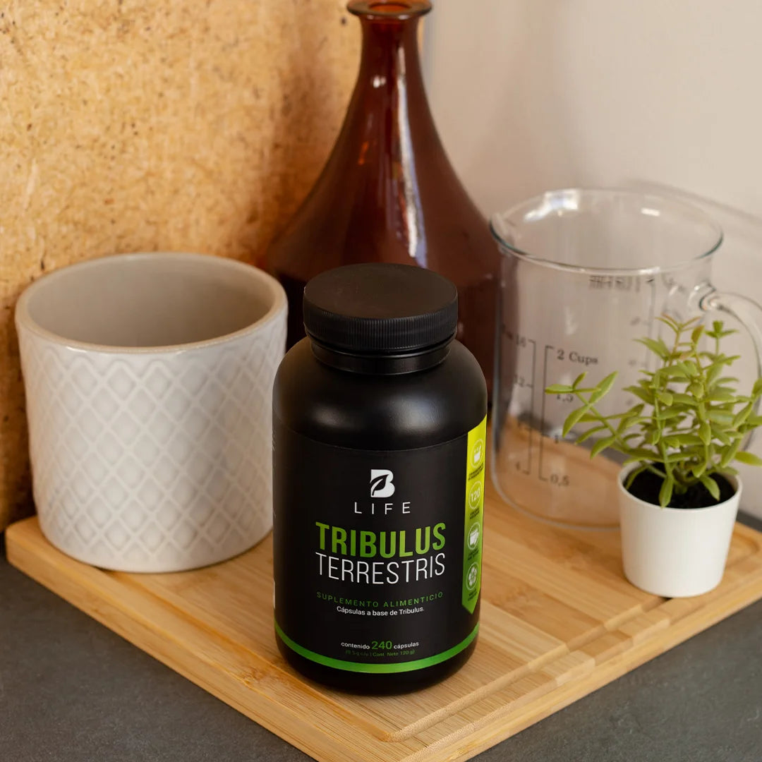 tribulus-terrestris-suplemento-natural-tribulus-capsulas
