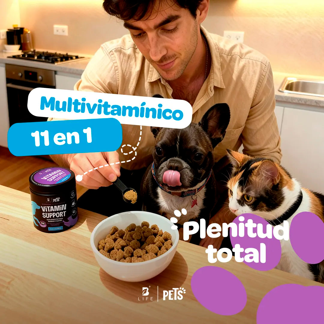 vitamin-support-suplemento-mascotas-multivitaminico-perros-gatos-en-polvo