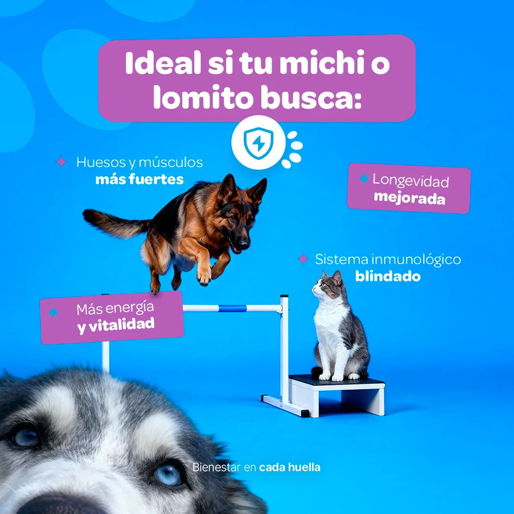 vitamin-support-suplemento-mascotas-multivitaminico-perros-gatos-en-polvo
