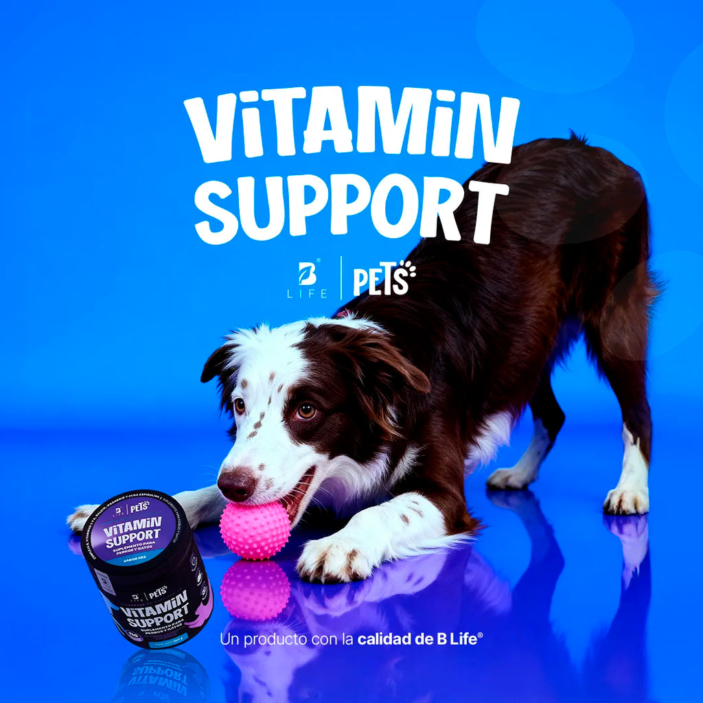 vitamin-support-suplemento-mascotas-multivitaminico-perros-gatos-en-polvo