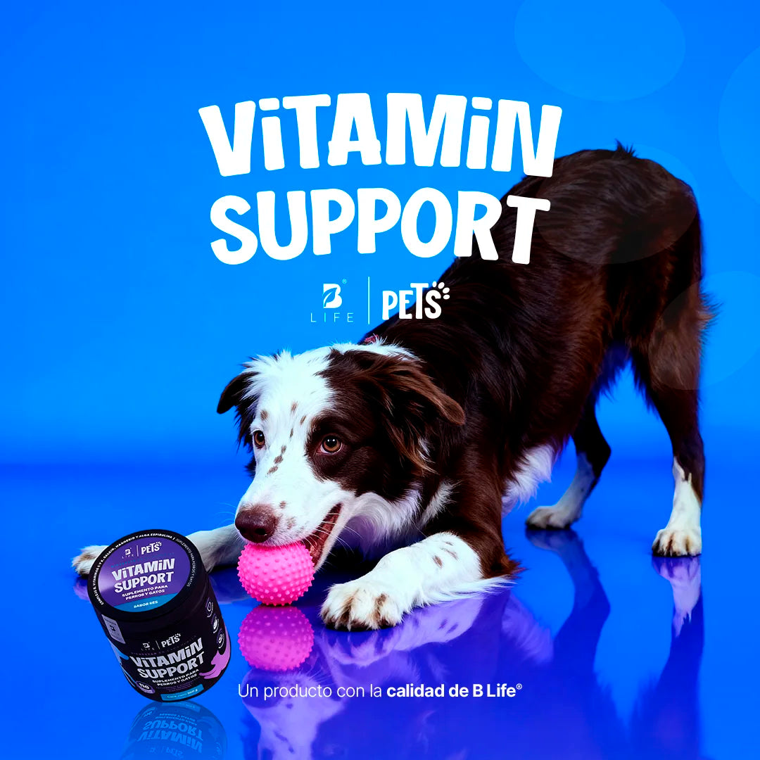 vitamin-support-suplemento-mascotas-multivitaminico-perros-gatos-en-polvo